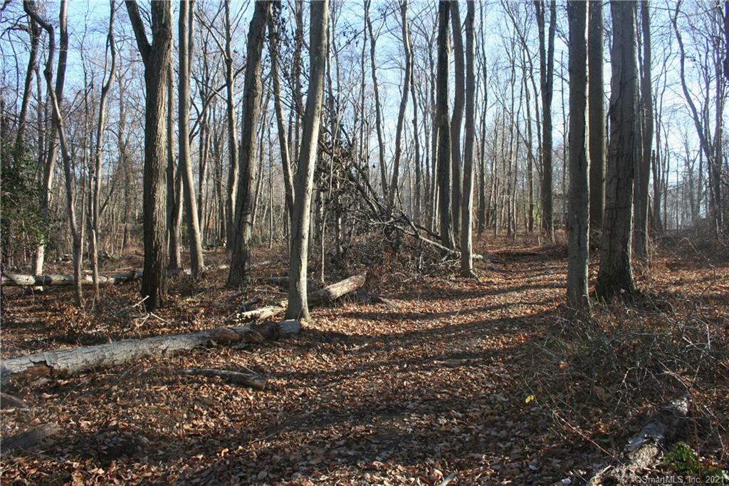 Property Photo: 00 Wig Hill Road CT 06412