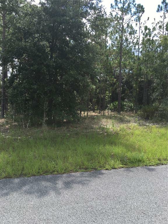 Property Photo:  11280 N Kenney Loop  FL 34433 