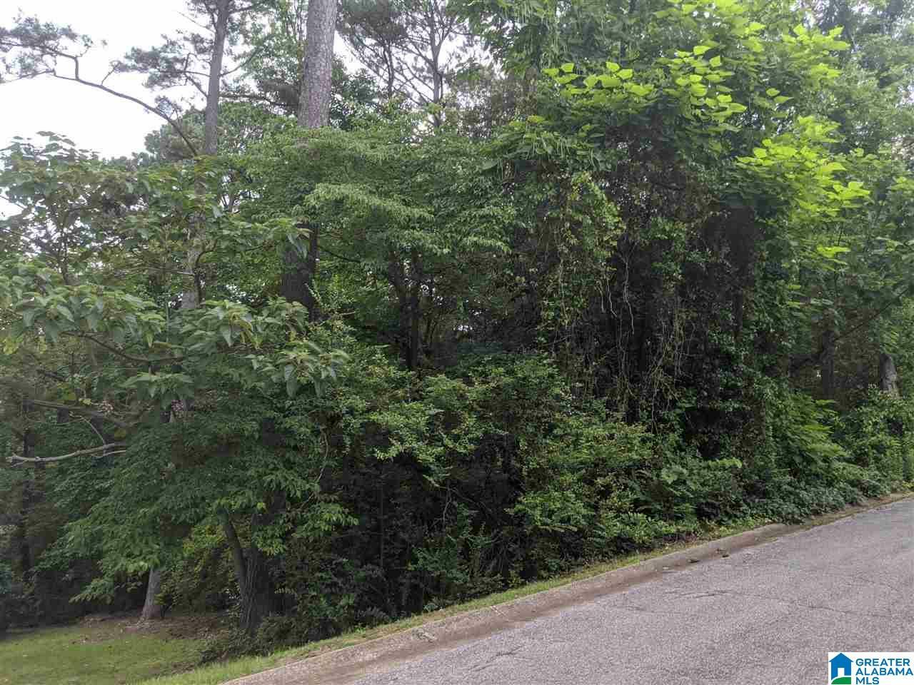 Property Photo:  Lot 9 Timothy Trace 9 &Amp 10  AL 36207 