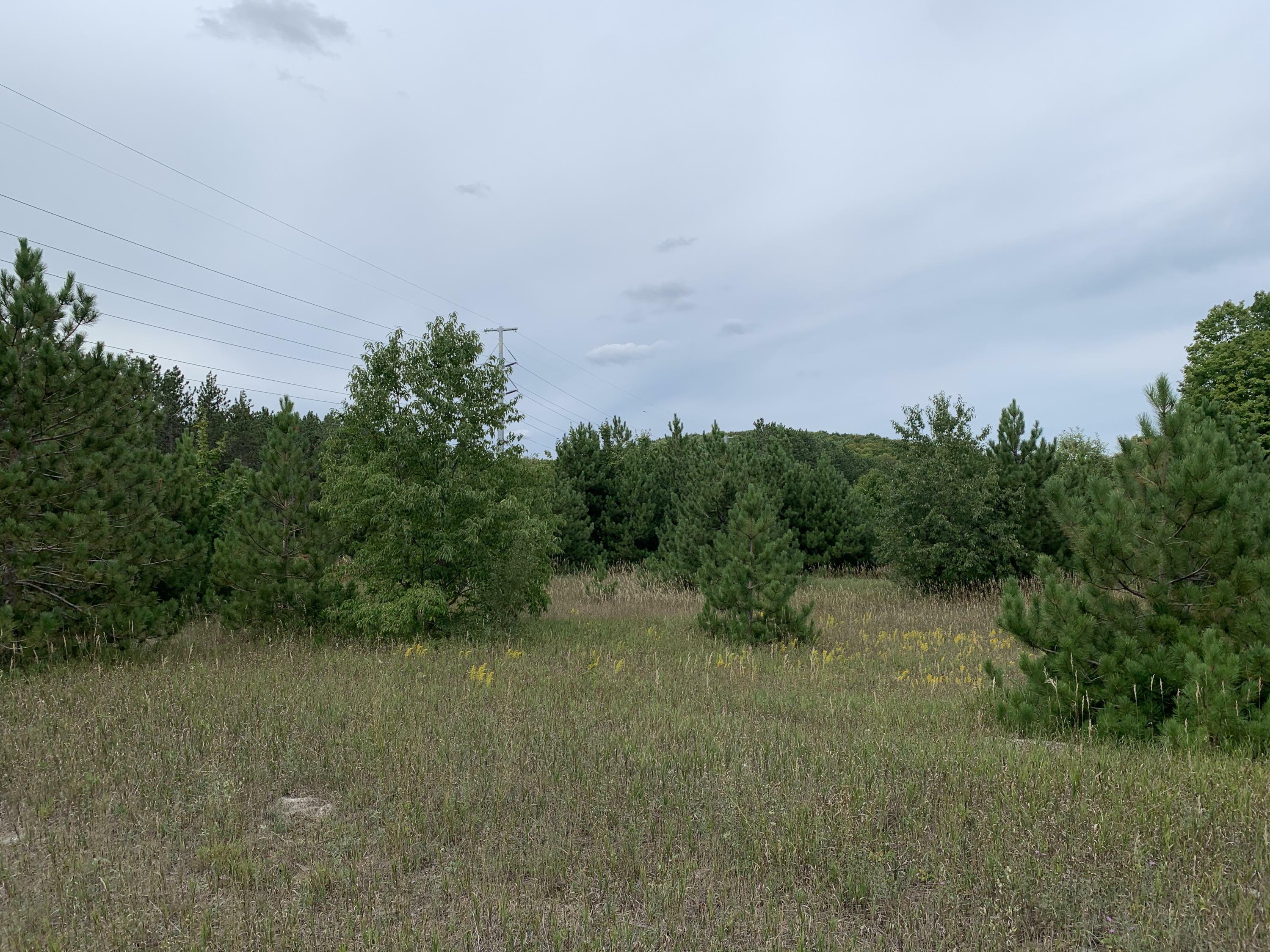 Property Photo:  M-32 Highway  MI 49730 