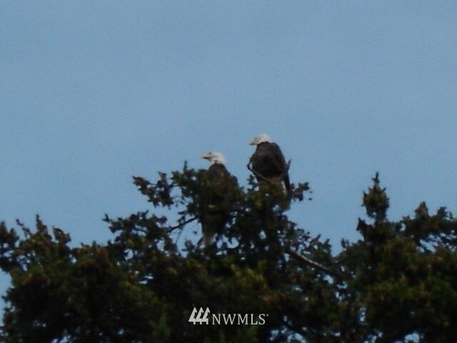 Property Photo: 7816 47th Avenue NW WA 98271