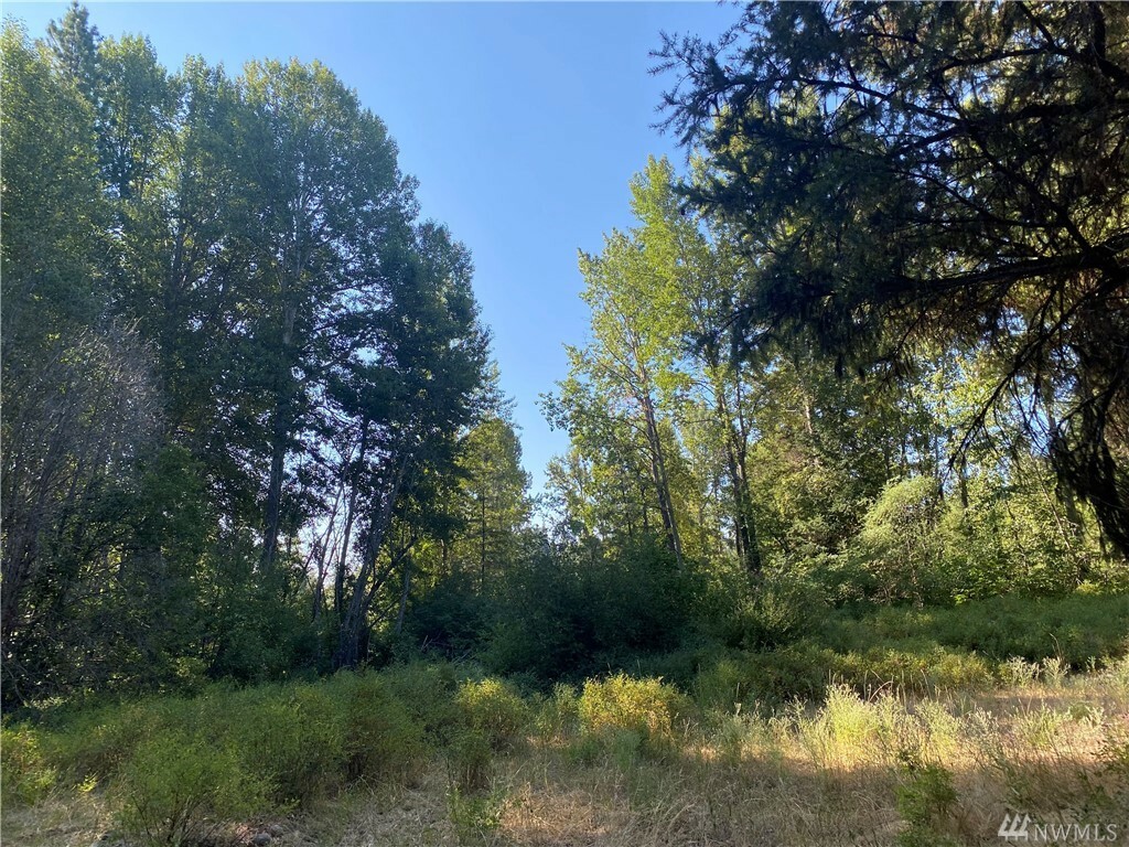 Property Photo:  2131 Teanaway Middle Fork Rd  WA 98922 