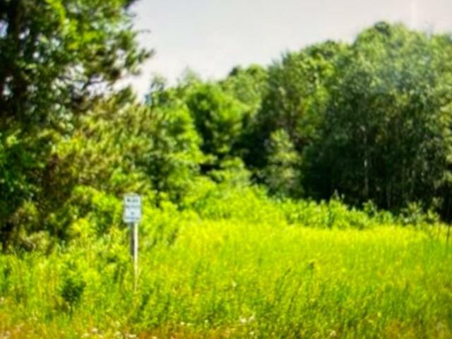 Lot 20 572nd Street  Menomonie WI 54751 photo