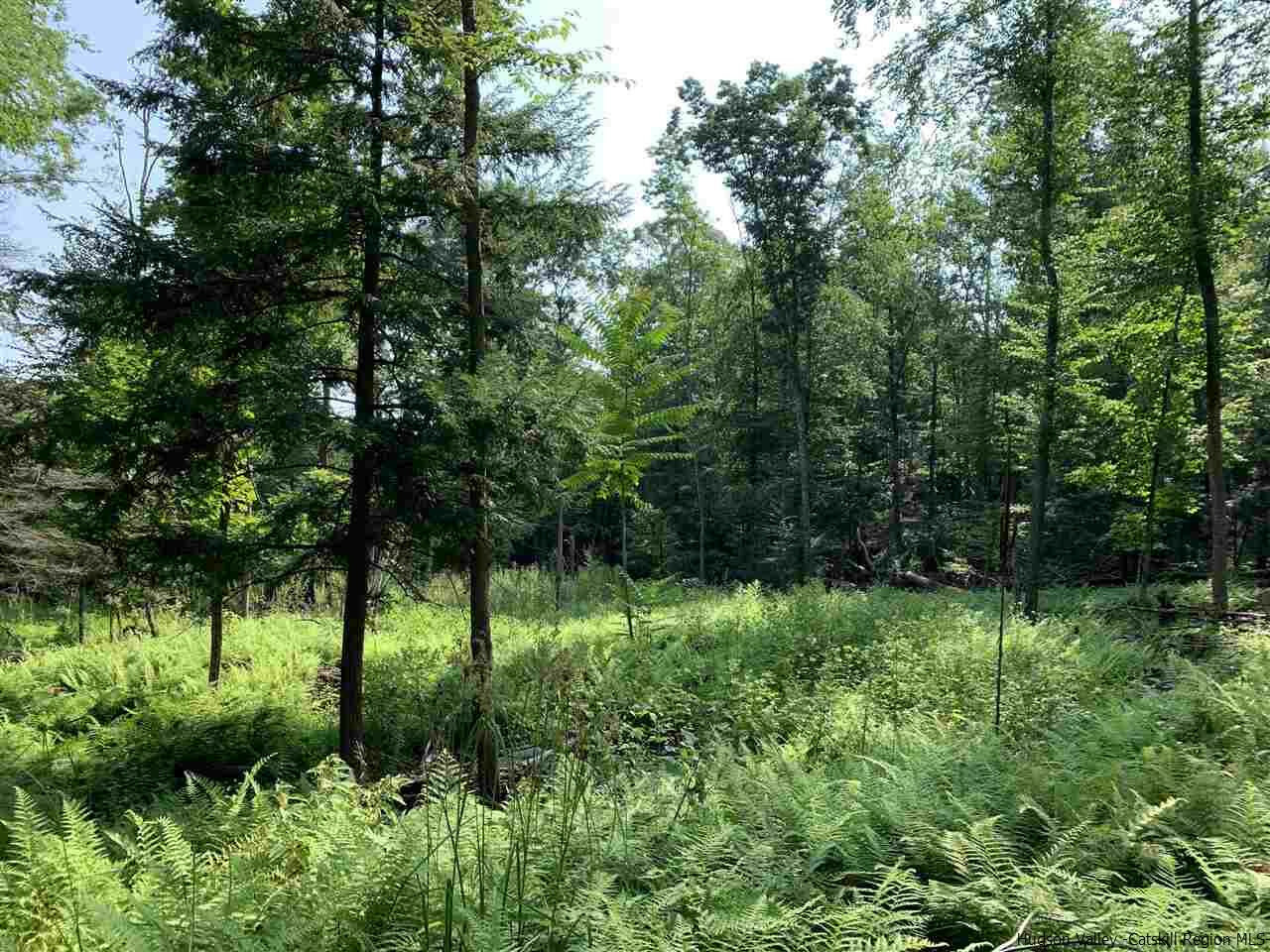 Property Photo:  Lot 2 Tbd Cherry  NY 12484 