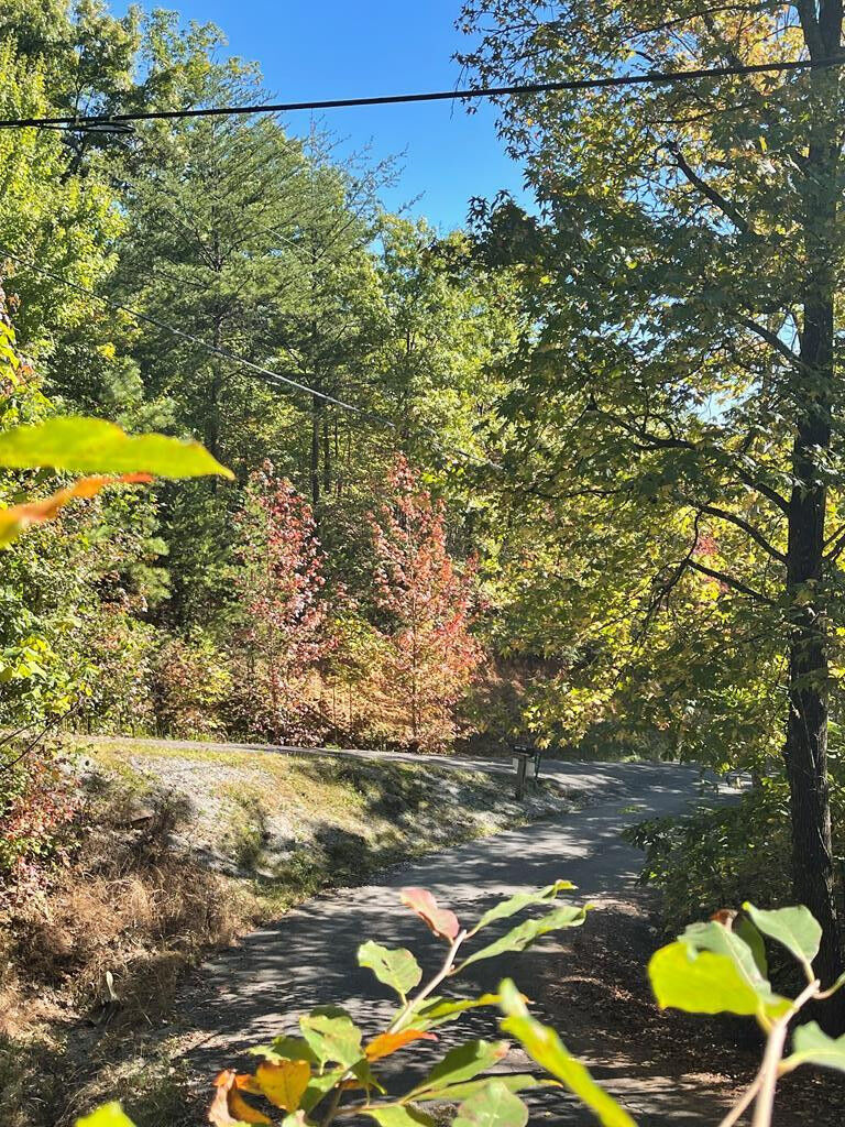 Property Photo:  Overholt Trail  TN 37862 