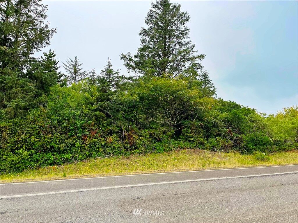 Property Photo:  961 Point Brown Avenue SE  WA 98569 