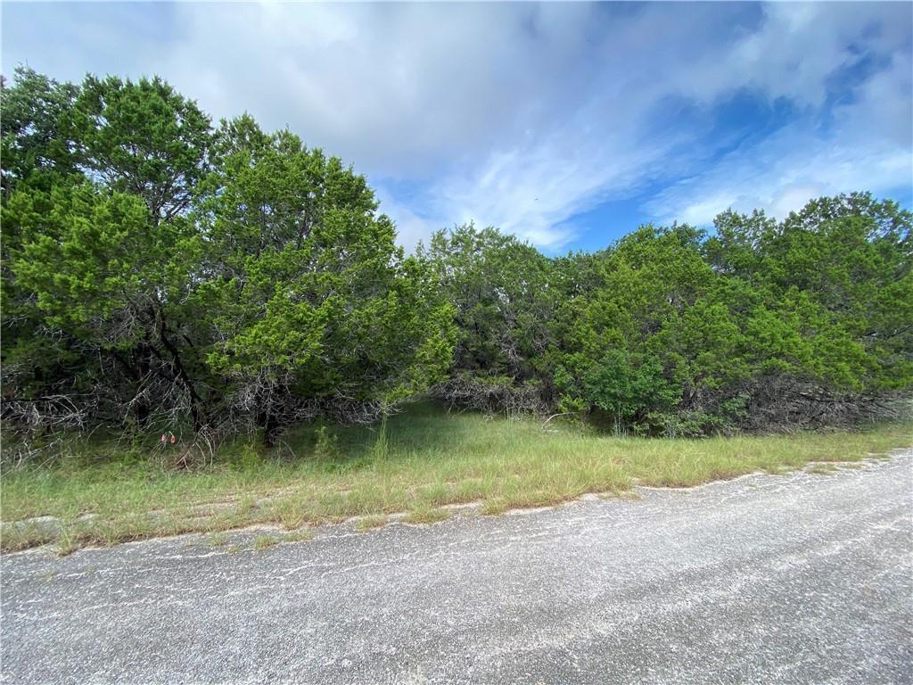 Property Photo:  21911 Cardinal Avenue  TX 78645 