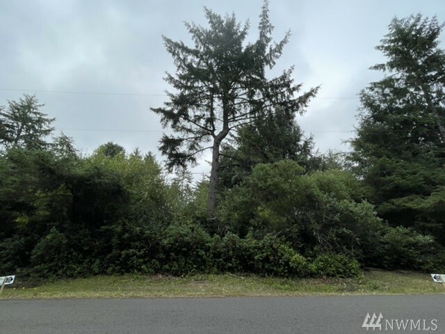 Property Photo: 534 Quinault Ave SE WA 98569
