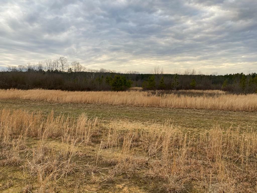 Property Photo:  00 Sugar Creek Road  GA 30711 