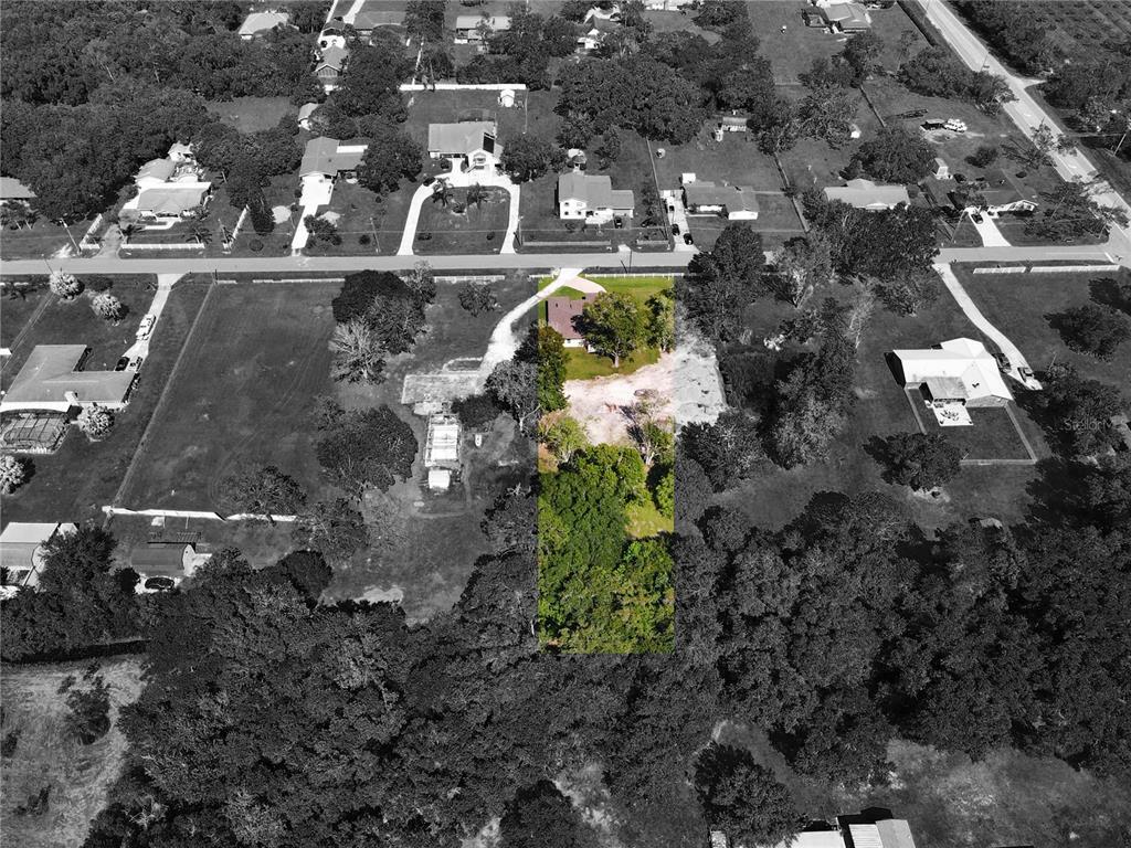 Property Photo: 1600 Palm Tree Drive FL 34744