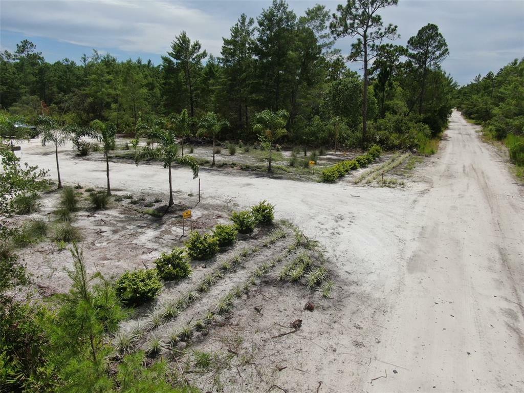 Property Photo: 775 6th Avenue FL 32764