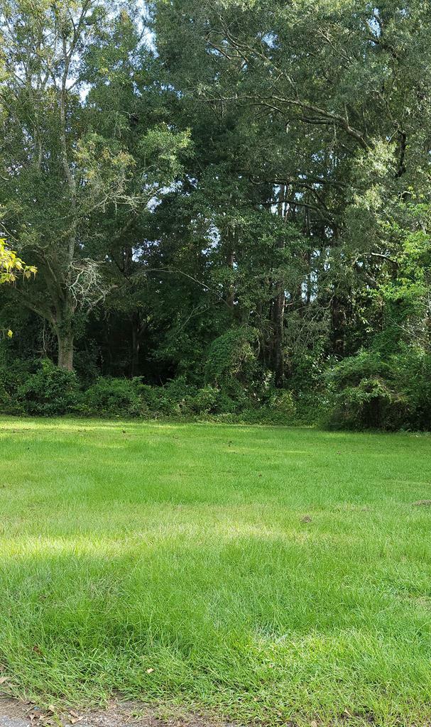 Property Photo:  Dogwood Dr  SC 29150 