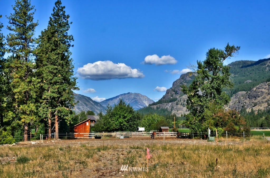 Property Photo:  421 Goat Creek Road  WA 98833 