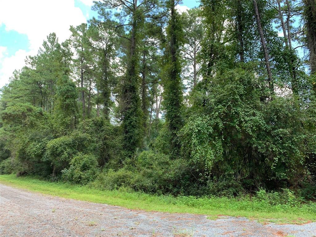 Property Photo:  8767 N Ramble Point  FL 34434 