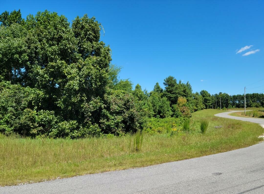 Property Photo: 0 Browns Trace Road TN 37380