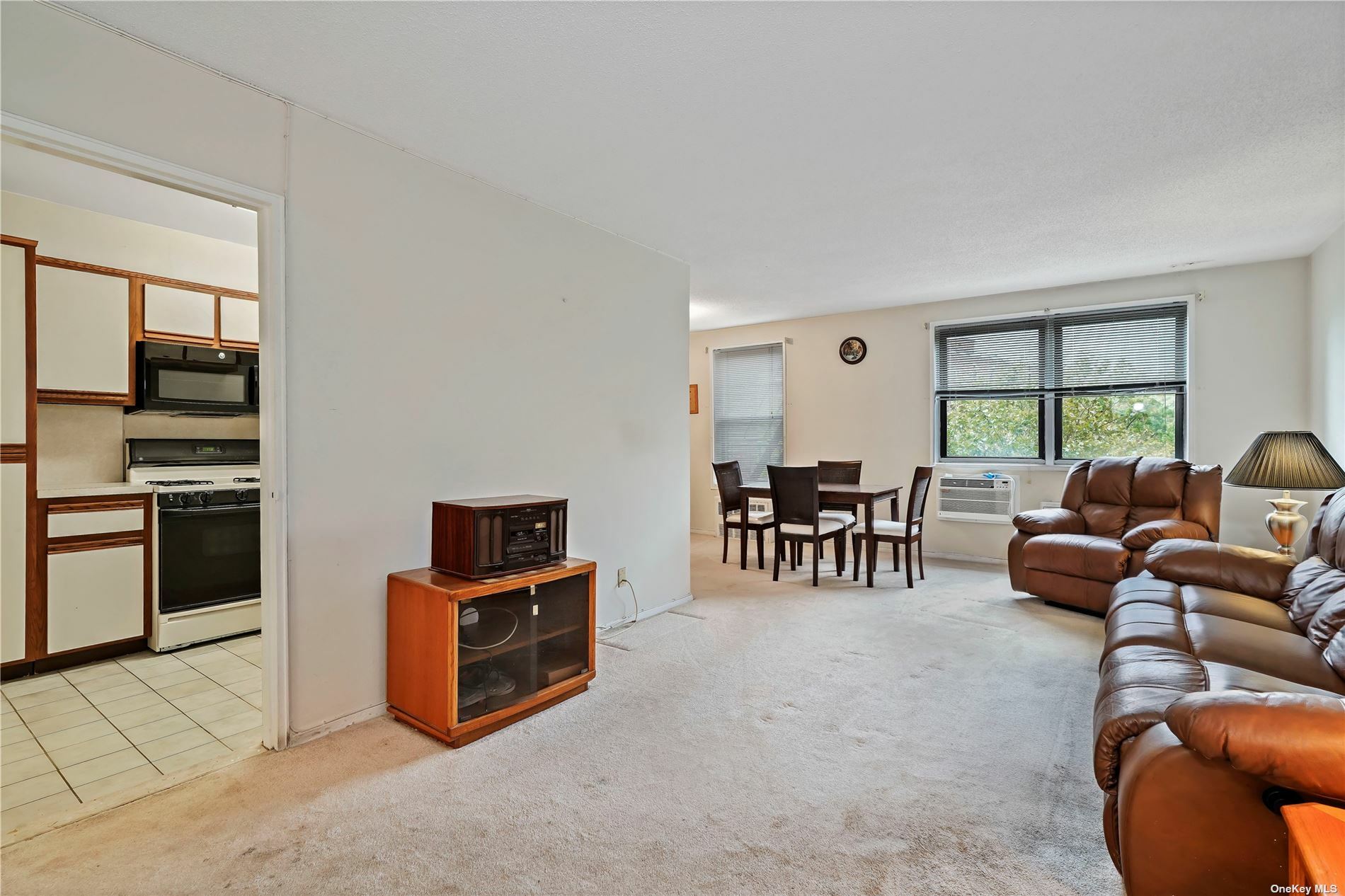 Property Photo:  84-40 153rd Avenue 4M  NY 11414 