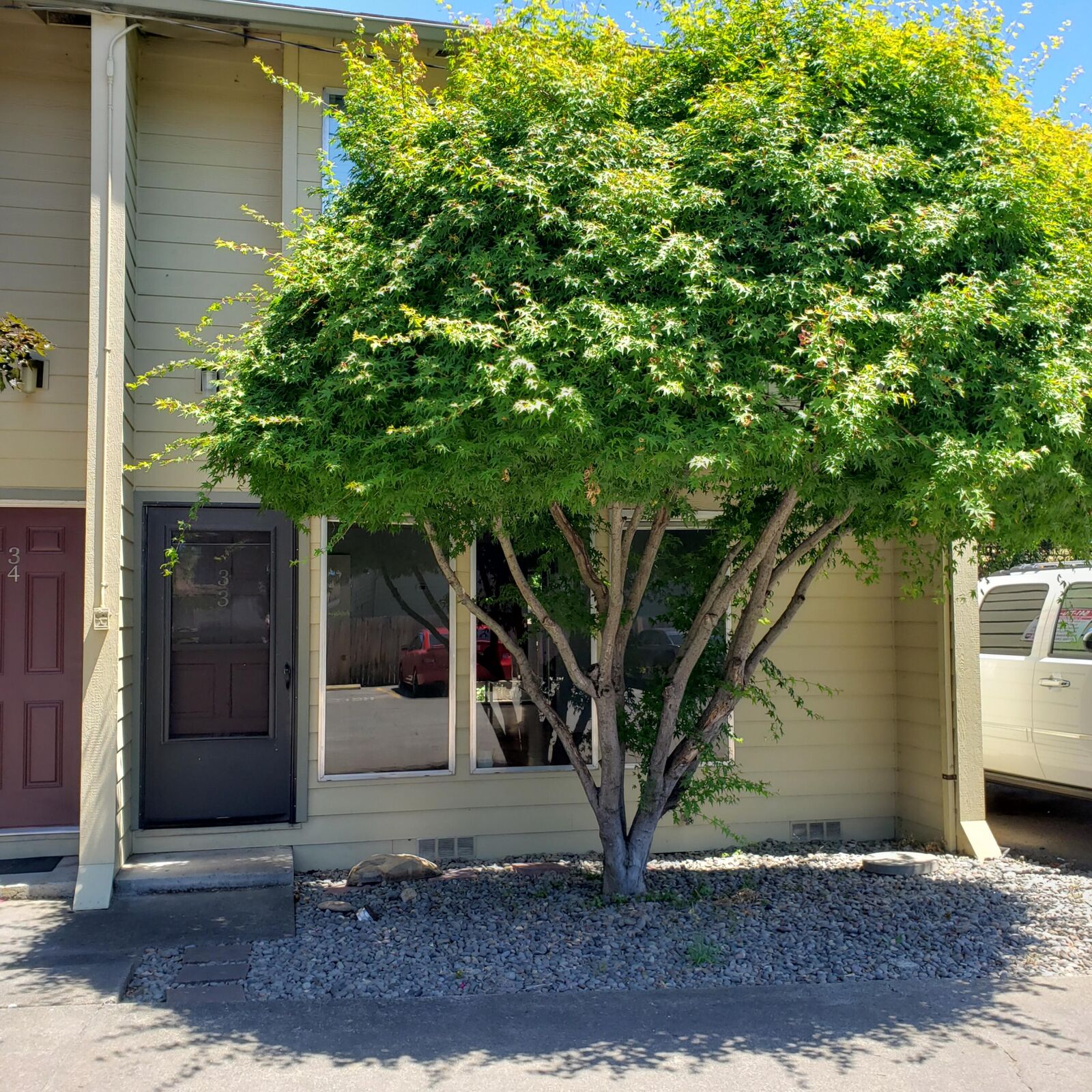 Property Photo:  1800 Crater Lake Avenue Apt 33  OR 97504 