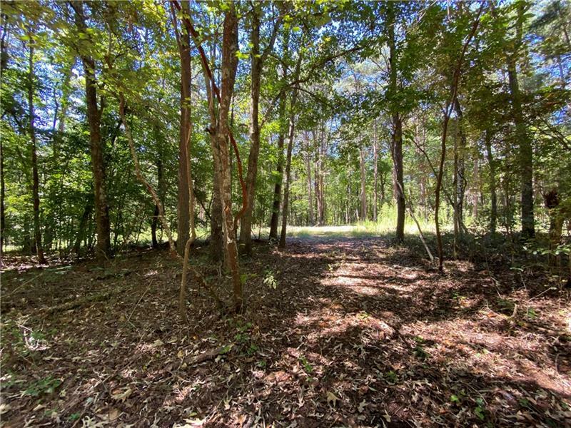 Property Photo:  Lot 18 Mineral Springs Road  GA 30107 