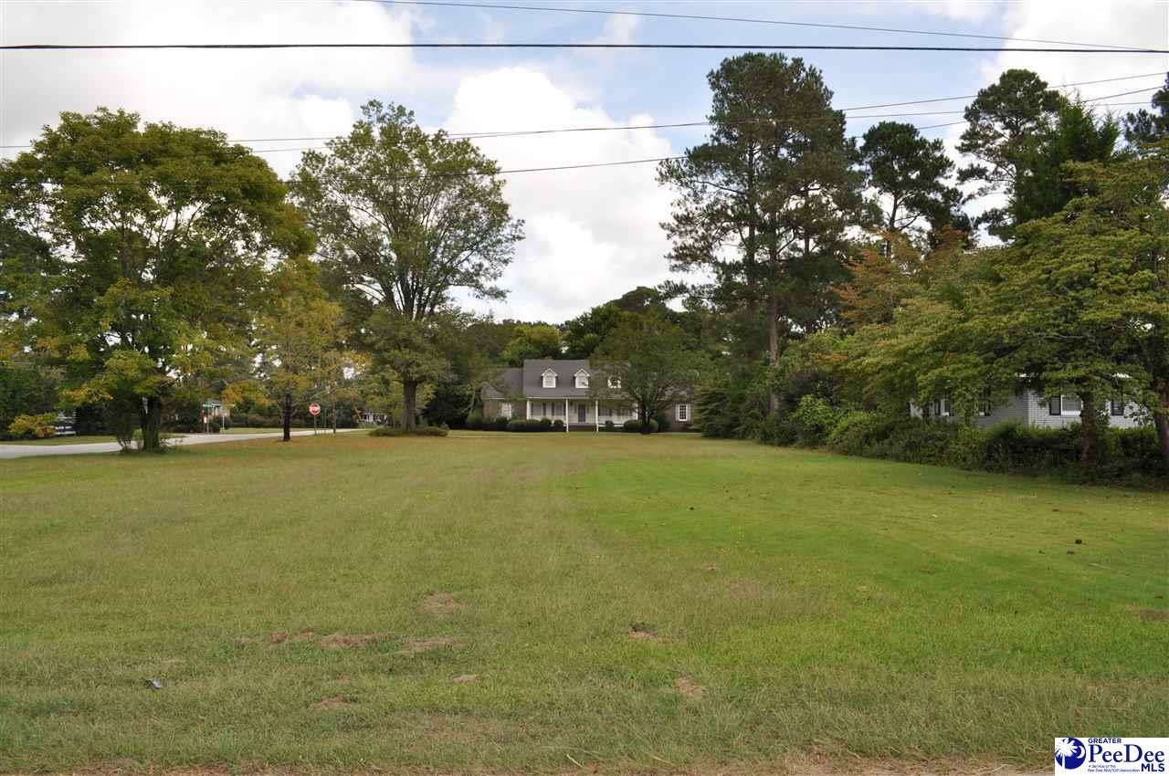 Property Photo:  104 Franklin Avenue  SC 29571 