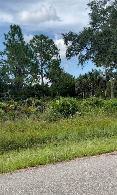 Property Photo:  22460 Bradford Avenue  FL 33952 