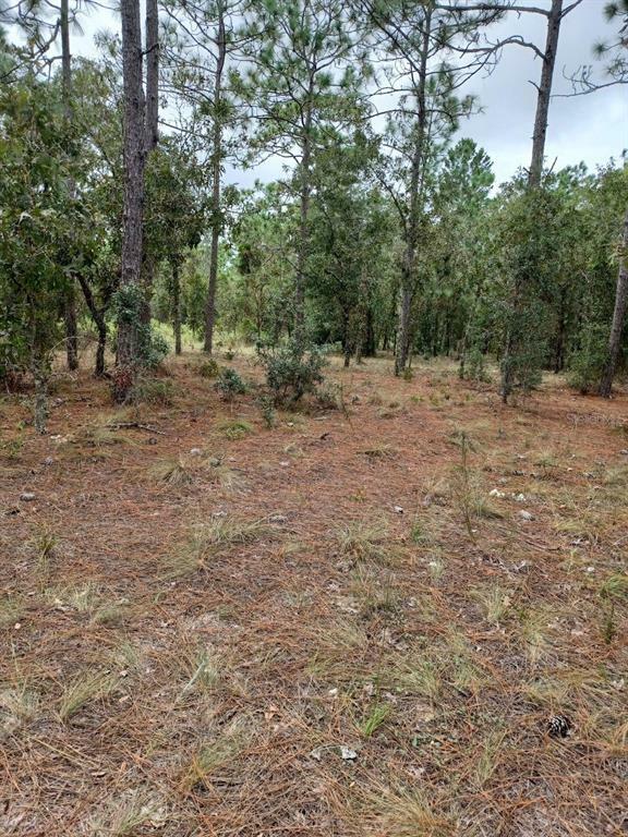 Property Photo:  000 SW Timberlake Road Lot 37  FL 34431 