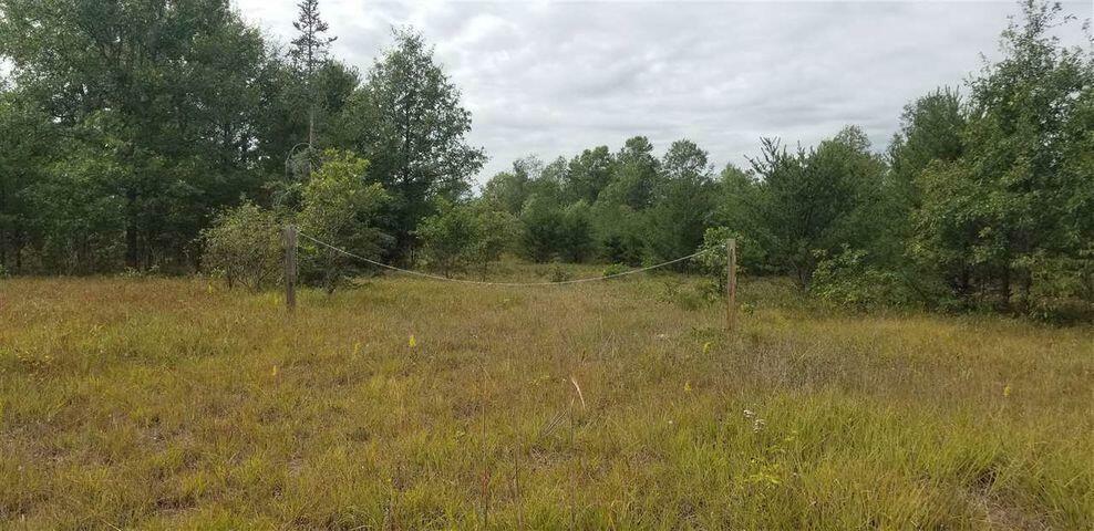 Property Photo:  Leline 40 Acres  MI 48653 