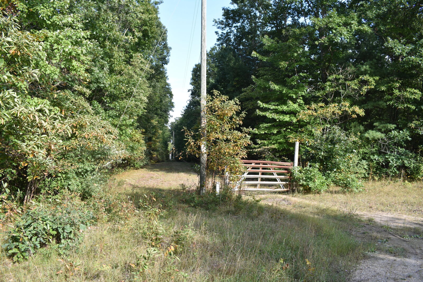 Property Photo:  8818 S Parsons Avenue  MI 49337 