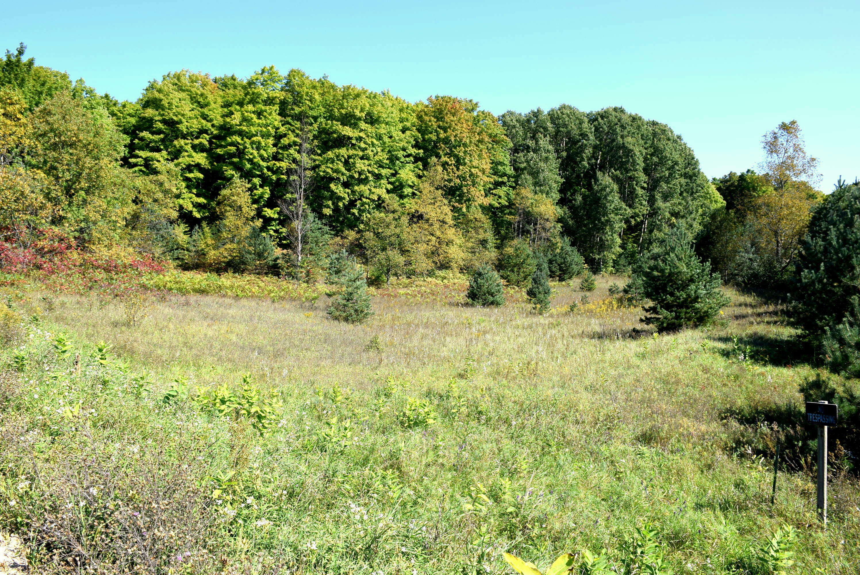 Property Photo: 17907 Gaylord Road MI 49795
