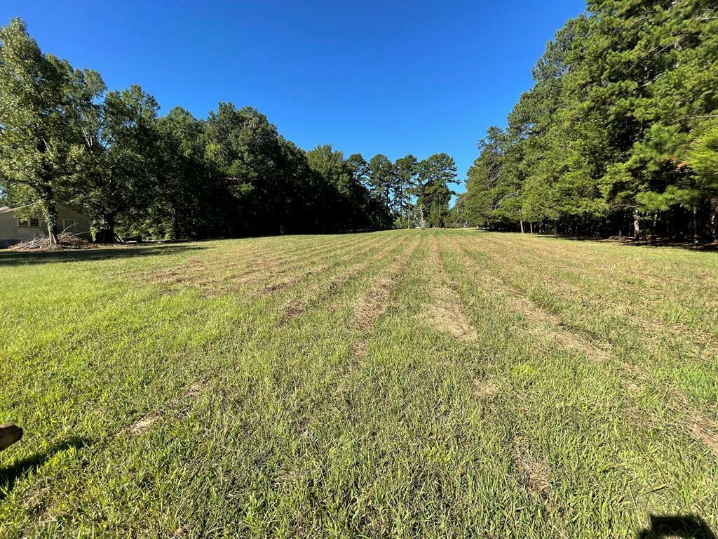 Property Photo:  Lot C Carol Avenue  VA 23927 