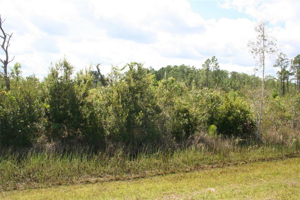 Property Photo:  0 Althea Drive  FL 33898 