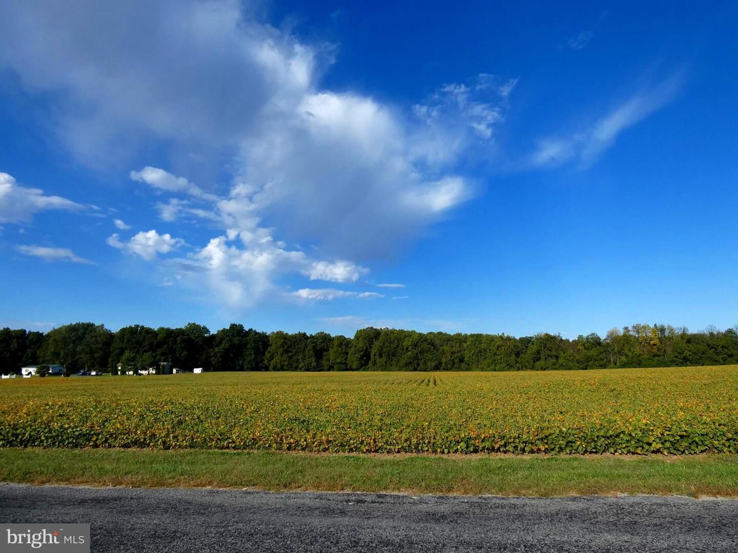 Property Photo: Dudley Chance Road MD 21651