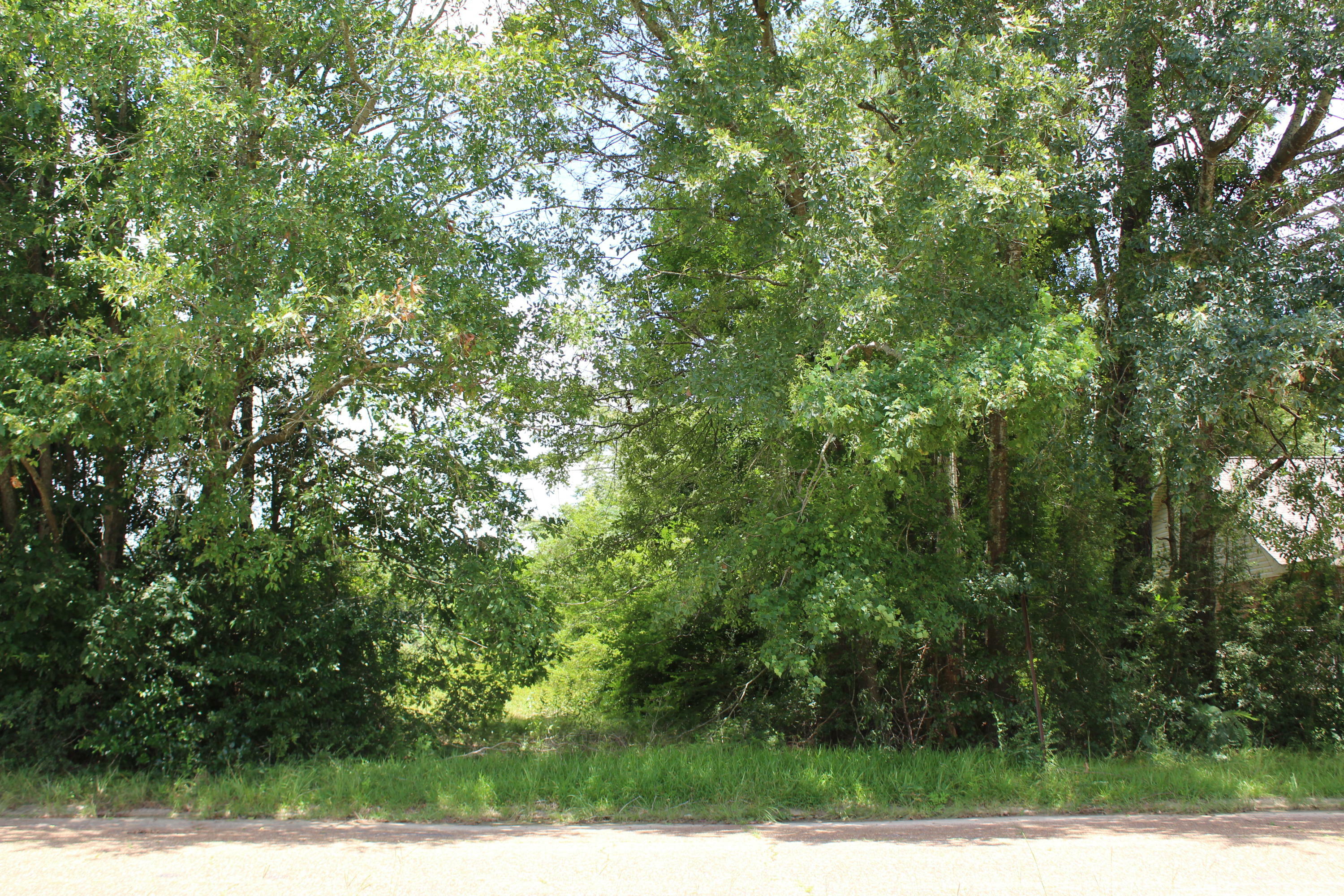 Miller St, Tbd (Lot 46)  Deridder LA 70634 photo