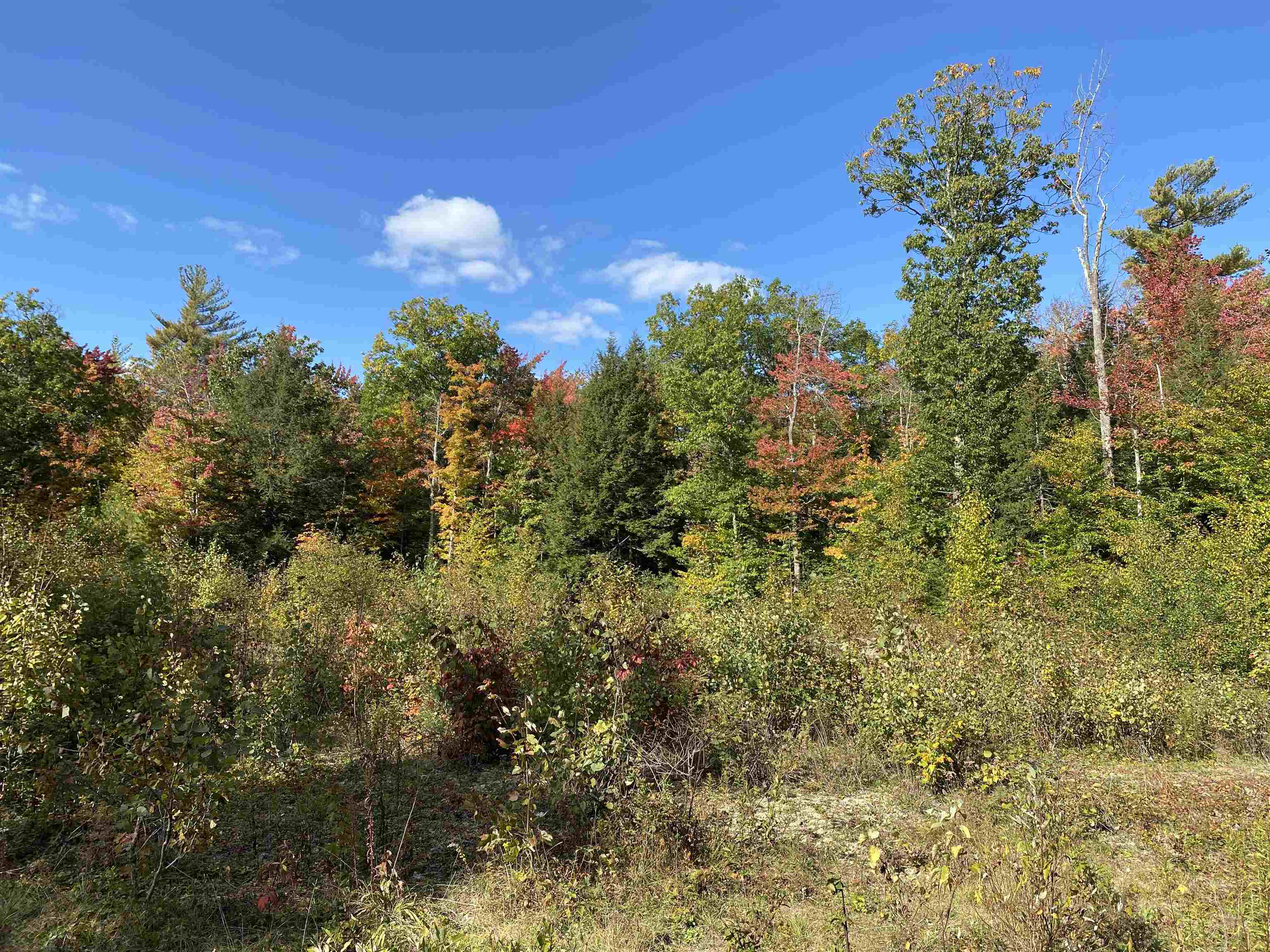 Property Photo:  35 1/2 East Harrisville Road  NH 03444 