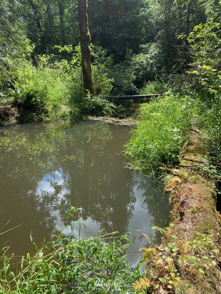 Property Photo: 115 Newell Road WA 98611