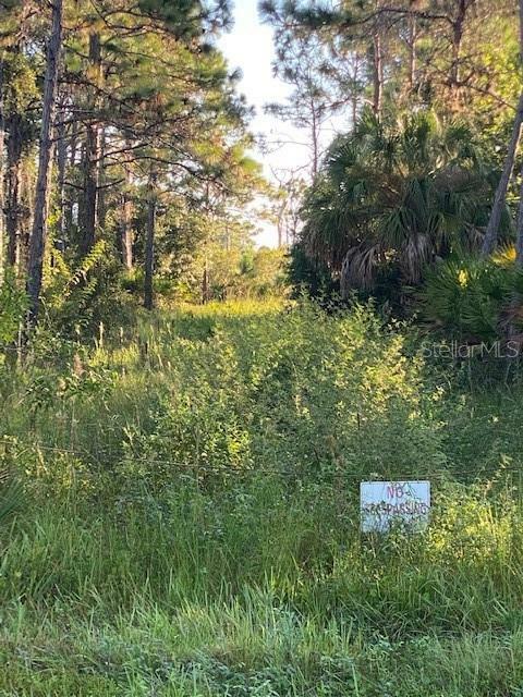 Property Photo: 102 Hercules Drive FL 33947