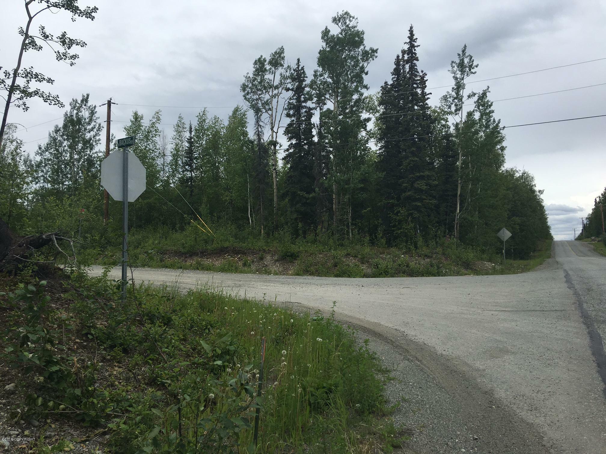 Property Photo:  10261 W Backus Drive  AK 99623 