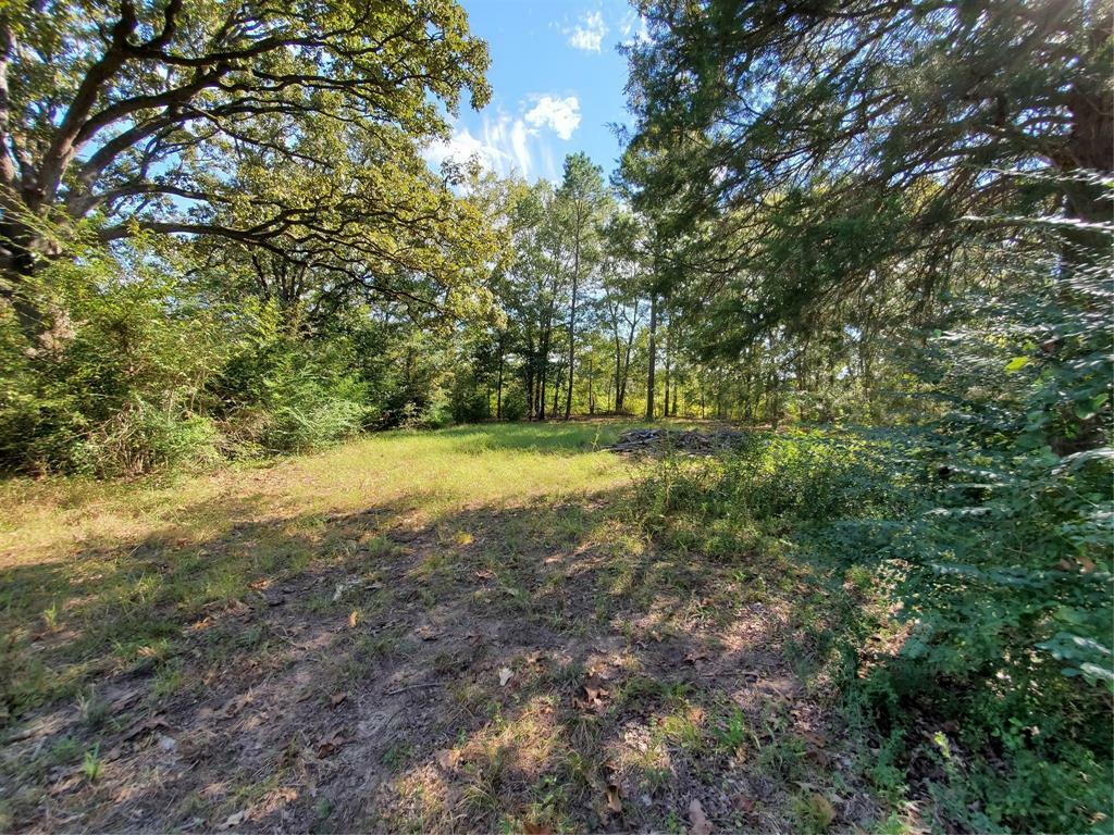 Property Photo:  1209 W Frank Street  TX 75140 