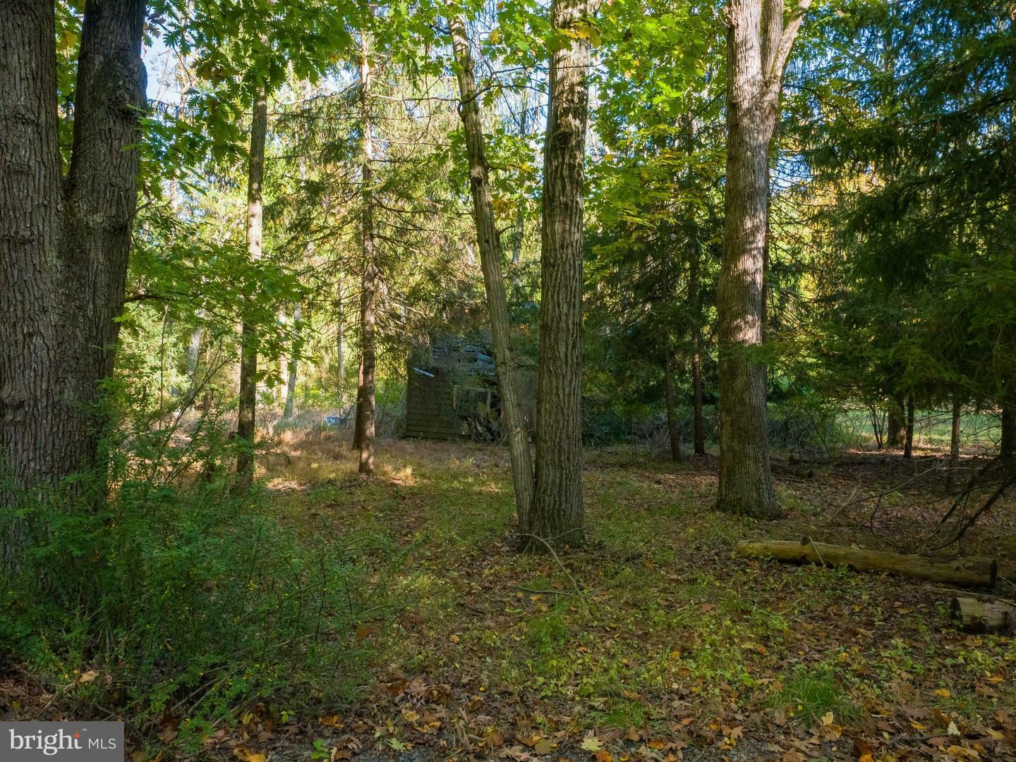 Property Photo:  4729 Sheep Rock Road  PA 18062 