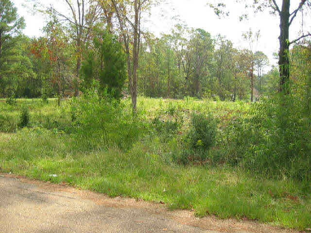 Property Photo:  512 Pelahatchie Shore Drive  MS 39047 