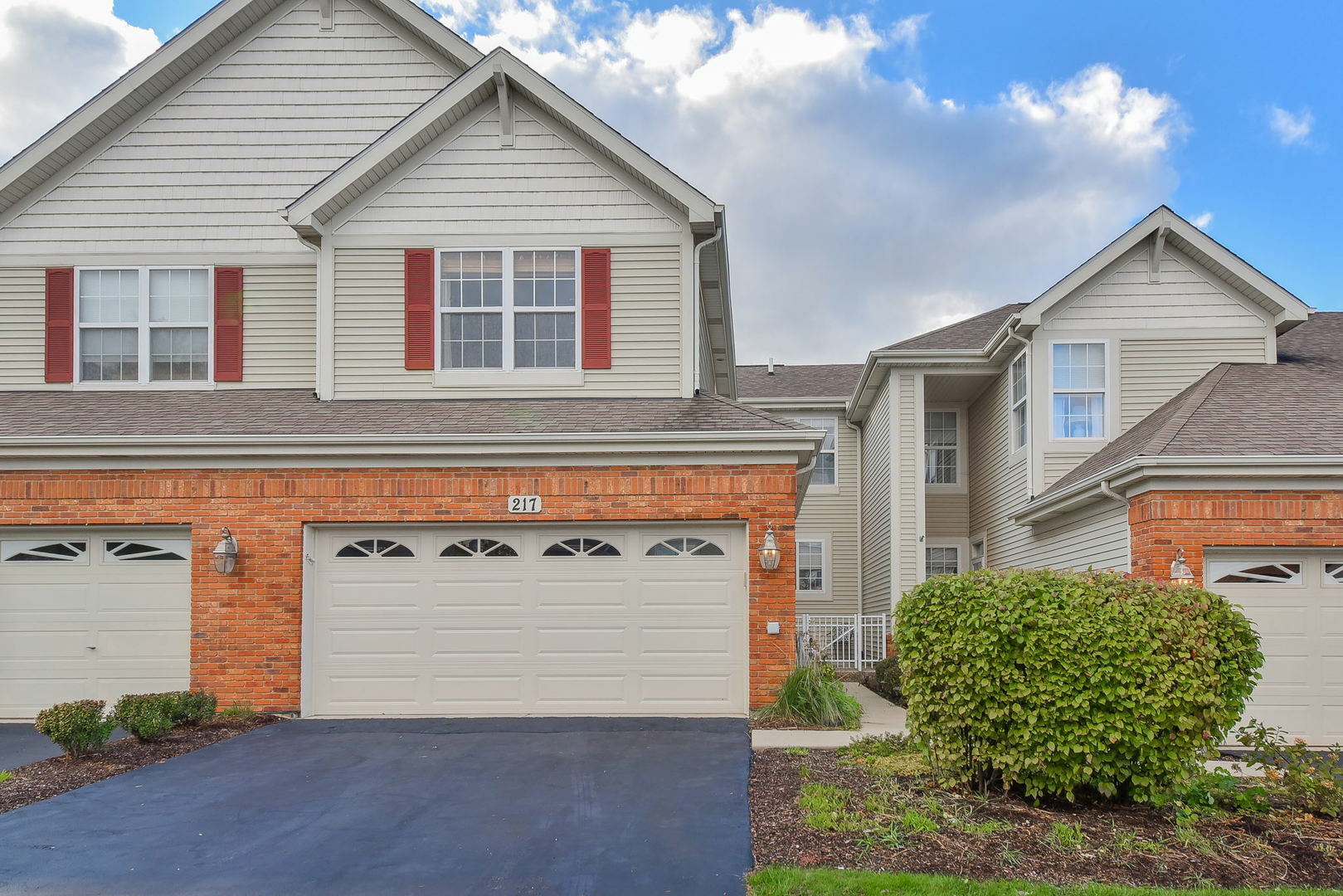 Property Photo: 217 Remington Drive IL 60175