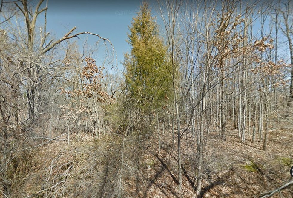 Property Photo:  Lot 7 Kilbernie Lane  AR 72715 