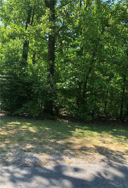 Property Photo: -- Brecknock Drive AR 72714