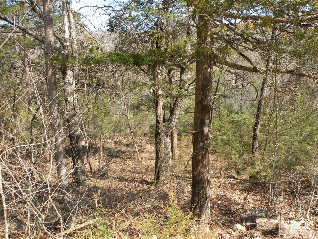 Property Photo:  98 Table Rock Drive  AR 72631 