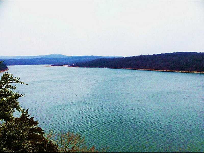 Property Photo:  Farm Road 1190 Road  MO 65641 