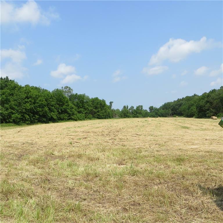 Property Photo:  Honey Creek Road  AR 72768 