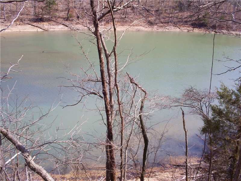 Property Photo:  Pine Creek Hollow Road  AR 72756 