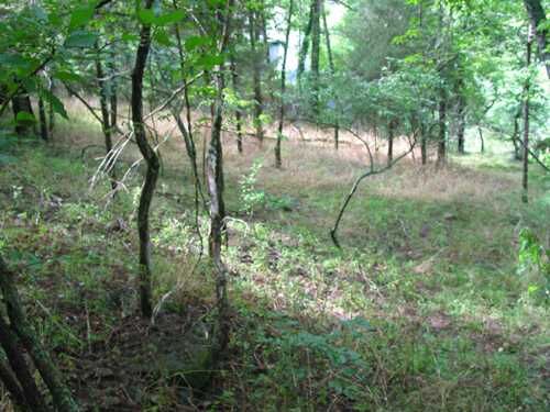 Property Photo:  Brush Street  AR 72632 