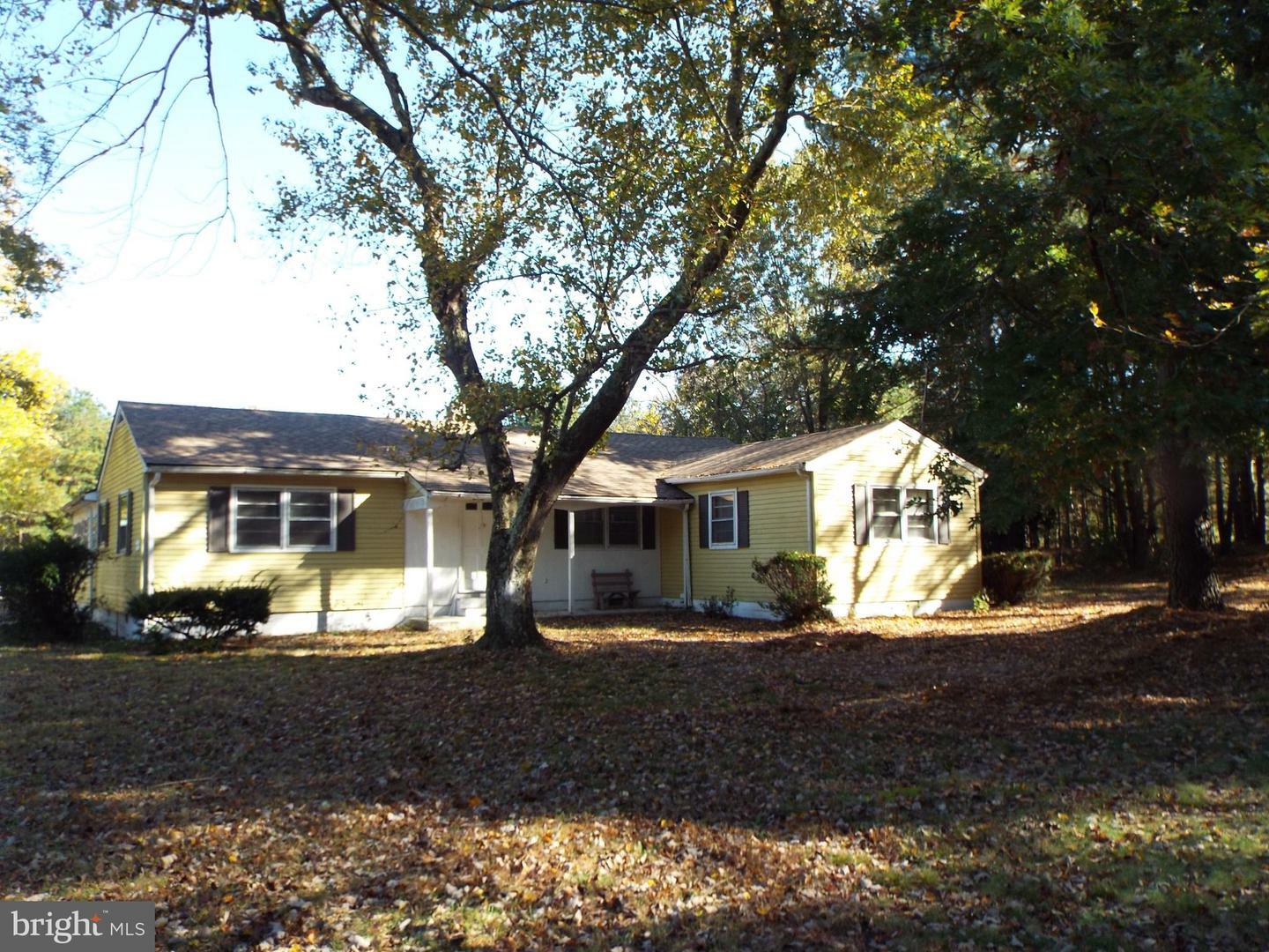 Property Photo:  22077 Royal Oak Road  MD 21856 