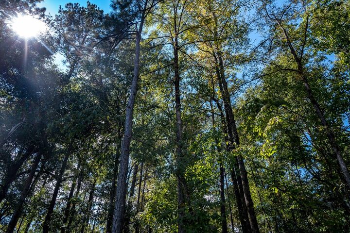 Property Photo:  8530 Lake Bright Drive  GA 31904 