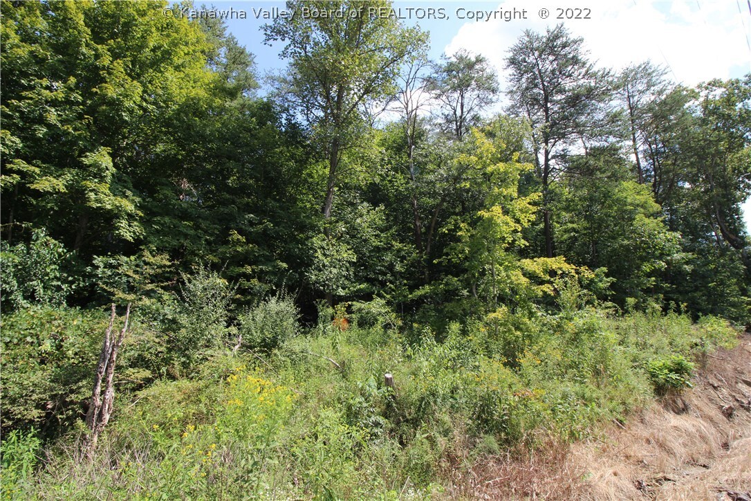 Property Photo: 0A Scott Depot Road WV 25560